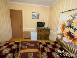 Стандарт №13