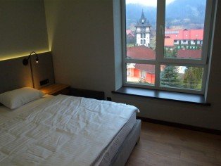 zeleniy-bir-luks_4