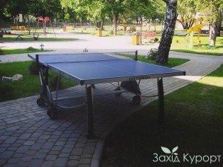 Настольный тенис