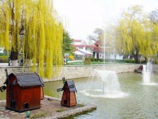 Отдых в Миргороде