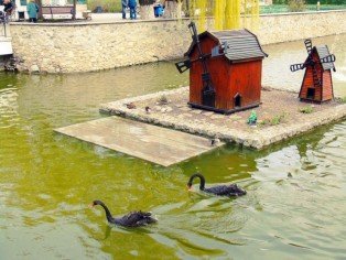 Отдых в Миргороде