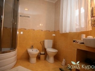 Гуцульские домики