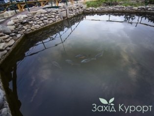 На территории
