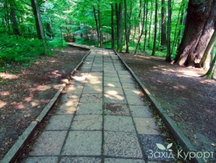 Дорожка к источнику Красоты