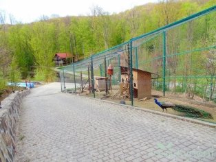 Мини зоопарк