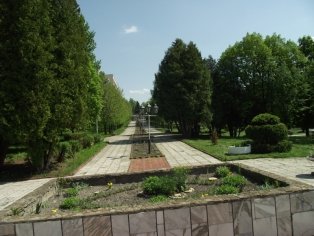 На территории санатория