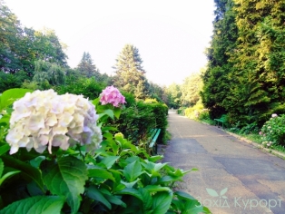 sanatoriy_hrustalnyj-dvorec-truskavets-park