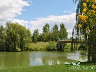 Река "Южный Буг"