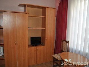 1 местный, 1 комнатный "полулюкс", 2, 3 корпус