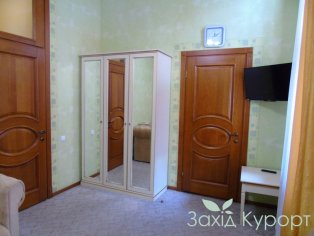 zeleniy-bir-luks_4