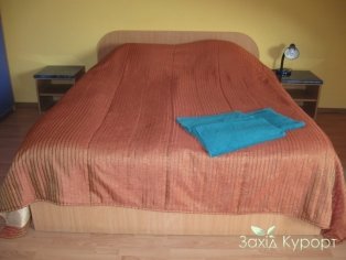 Однокомнатный двухместный VIP