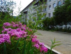 Санаторий Солнечное Закарпатье Поляна