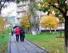 Санаторій Поляна c.Поляна