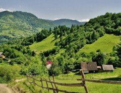 Отдых в Закарпатье