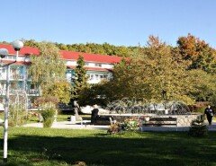 Санаторій Теплиця м.Виноградів