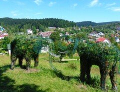 Курорт Східниця